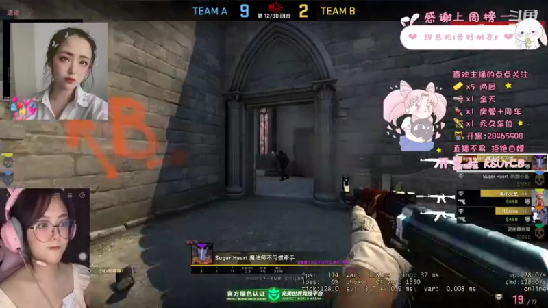 CSgO (208)