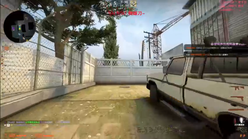 CSgO (83)