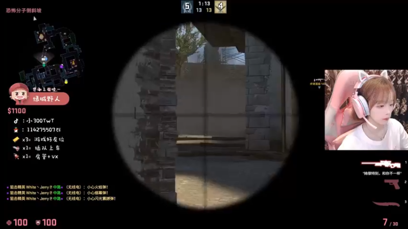CSgO (81)
