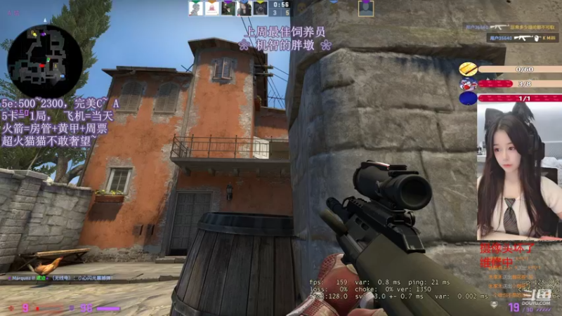 CSgO (311)