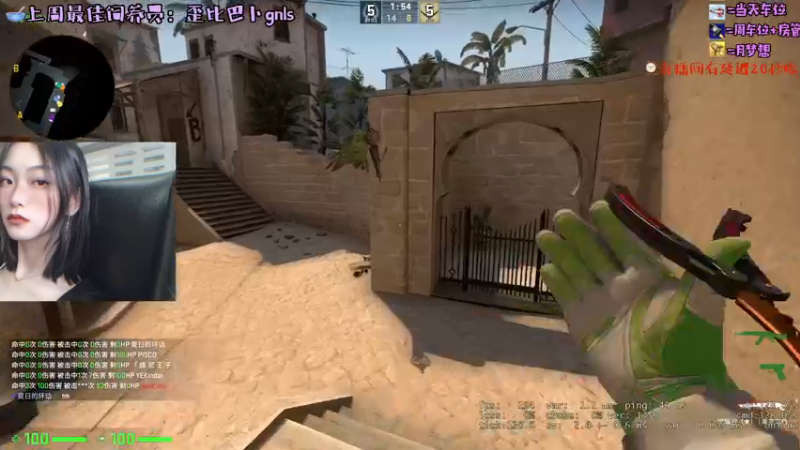 CSgO (118)
