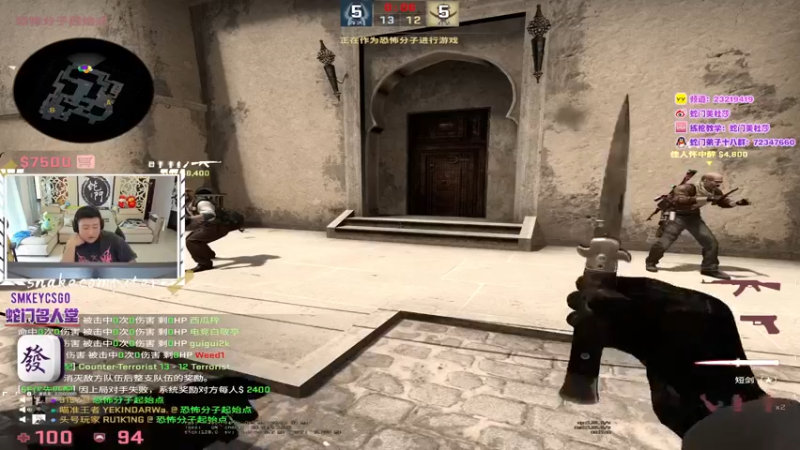 CSgO (350)