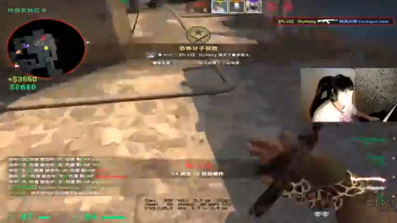 CSgO (165)