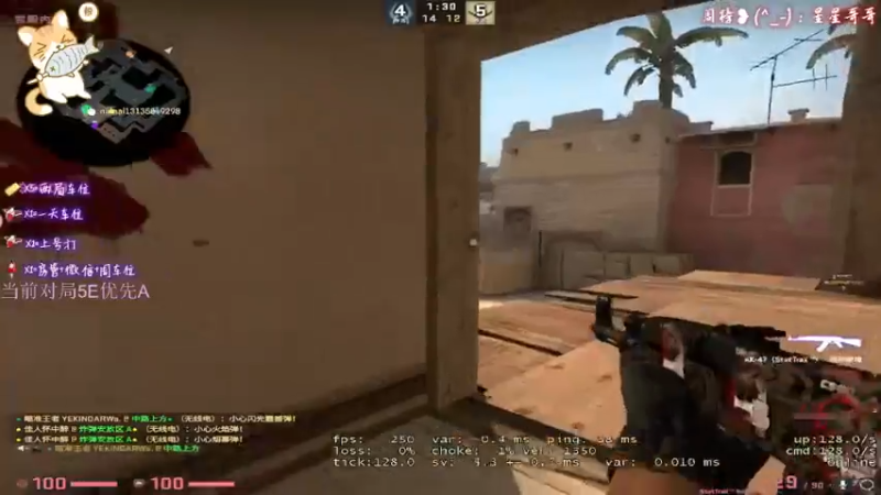CSgO (340)