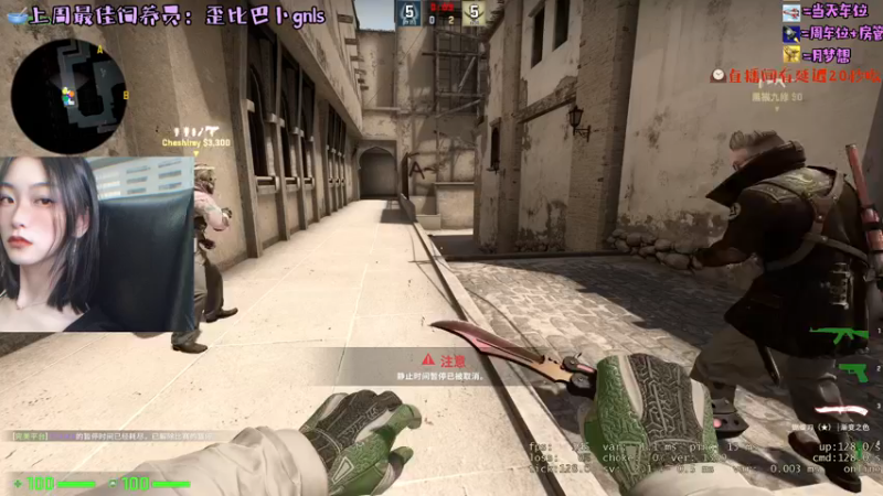 CSgO (65)