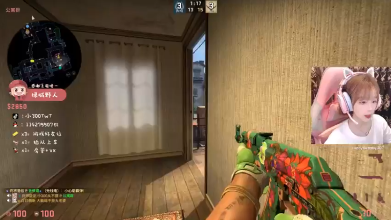 CSgO (69)
