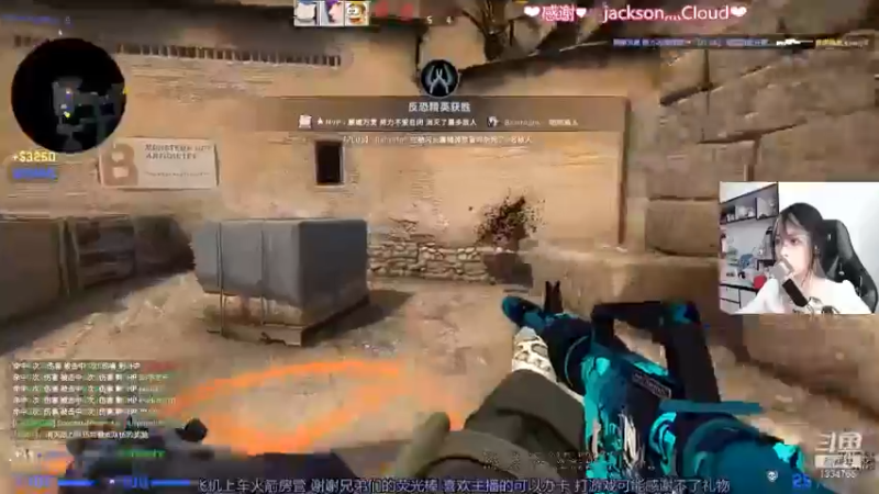 CSgO (352)