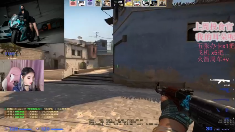CSgO (266)