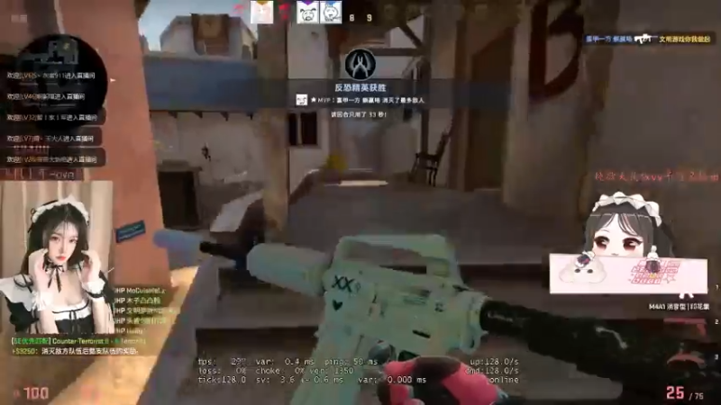 CSgO (108)