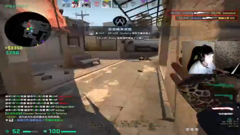 CSgO (147)