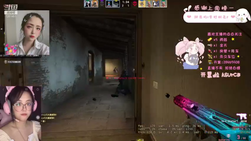 CSgO (248)