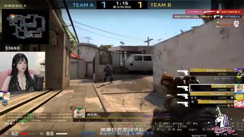 CSgO (55)