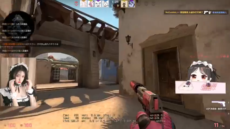 CSgO (112)