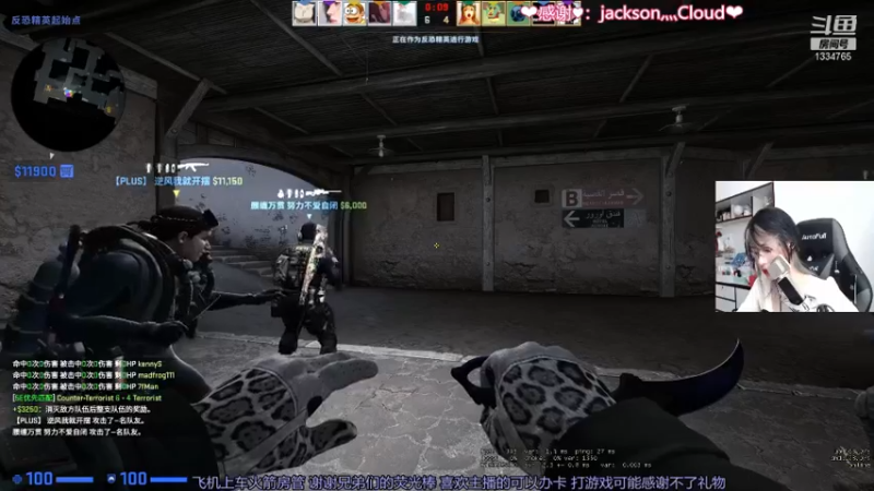 CSgO (346)
