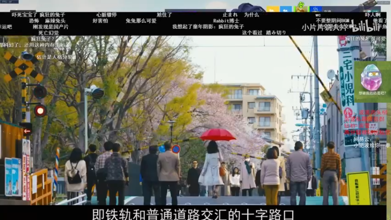【2021-10-06 02点场】我的猫叫肥波：佛波勒来逮捕国服小卡拉咪们!