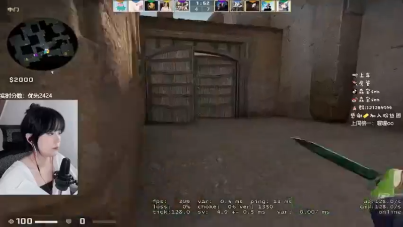 CSgO (337)