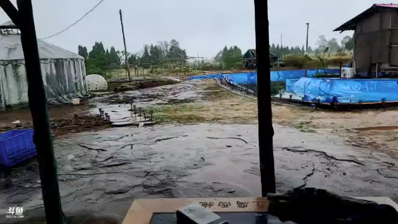 【2021-10-07 13点场】川味箩卜：送导弹哥去机场