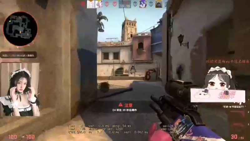 CSgO (66)