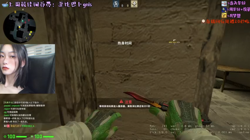 CSgO (80)