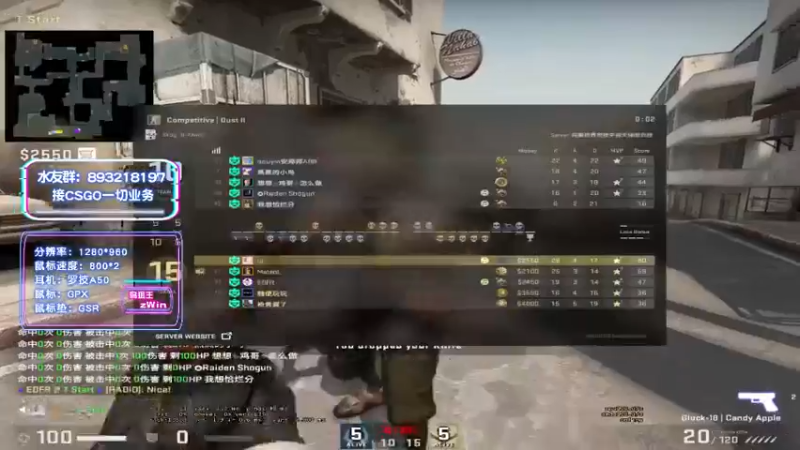 CSgO (345)