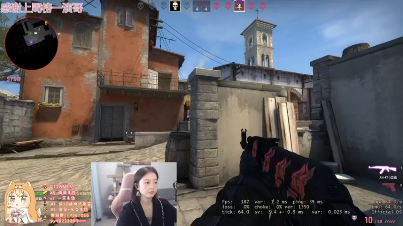 CSgO (339)