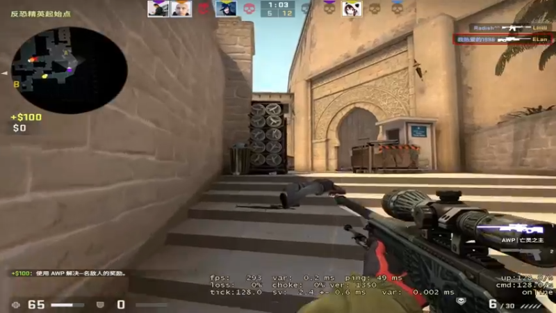CSgO (316)