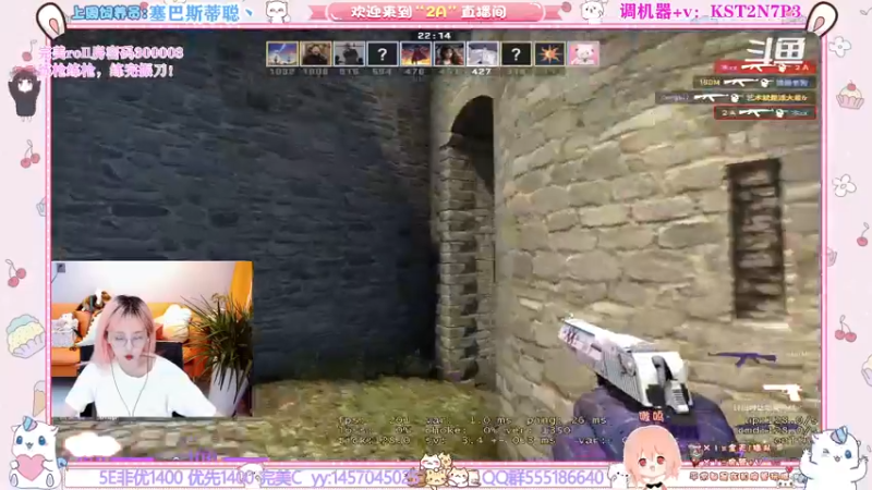 CSgO (178)