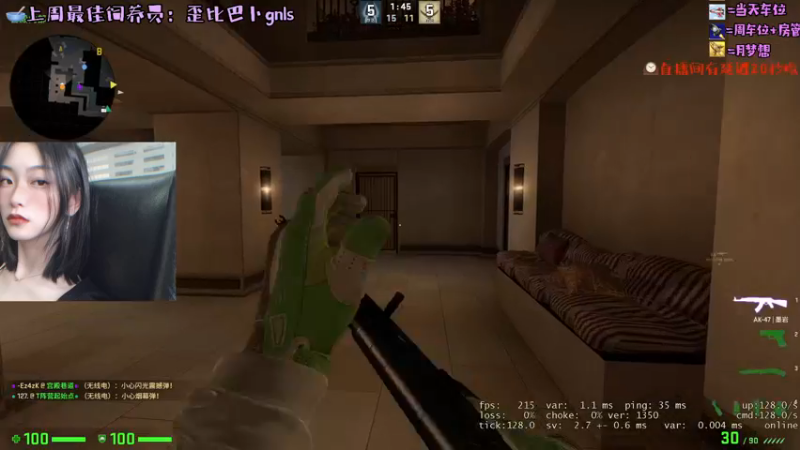CSgO (95)