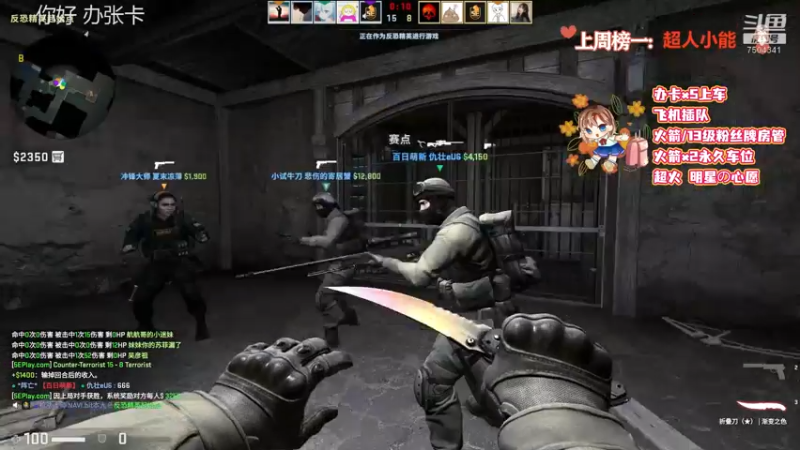 CSgO (290)