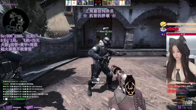 CSgO (299)