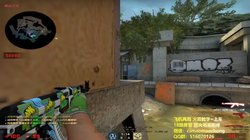 CSgO (334)