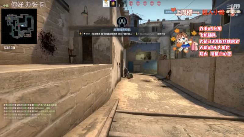 CSgO (251)