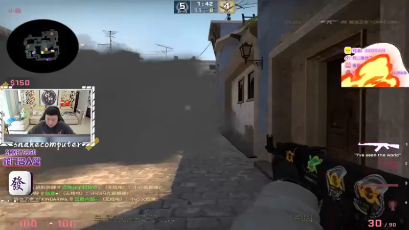 CSgO (368)