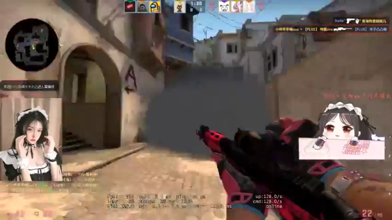 CSgO (117)