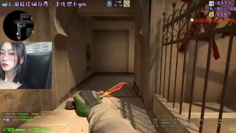 CSgO (91)
