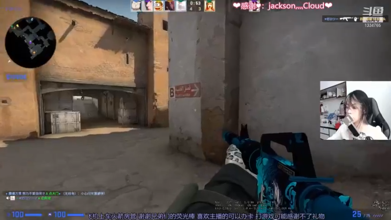 CSgO (359)