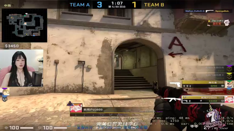 CSgO (47)