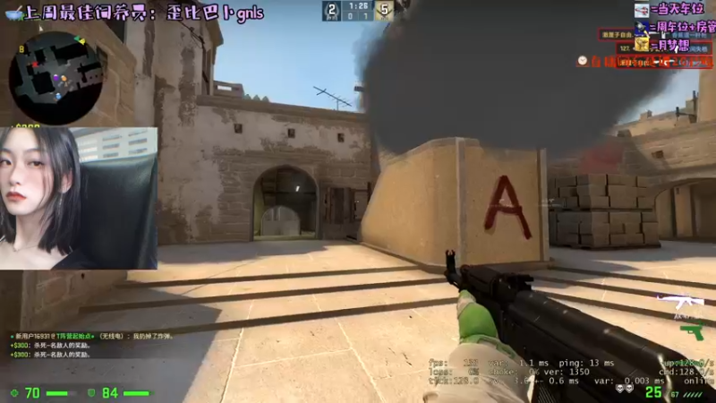 CSgO (72)
