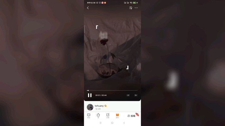 桑稚的歌