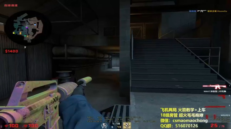 CSgO (268)