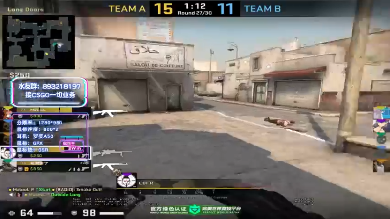 CSgO (341)