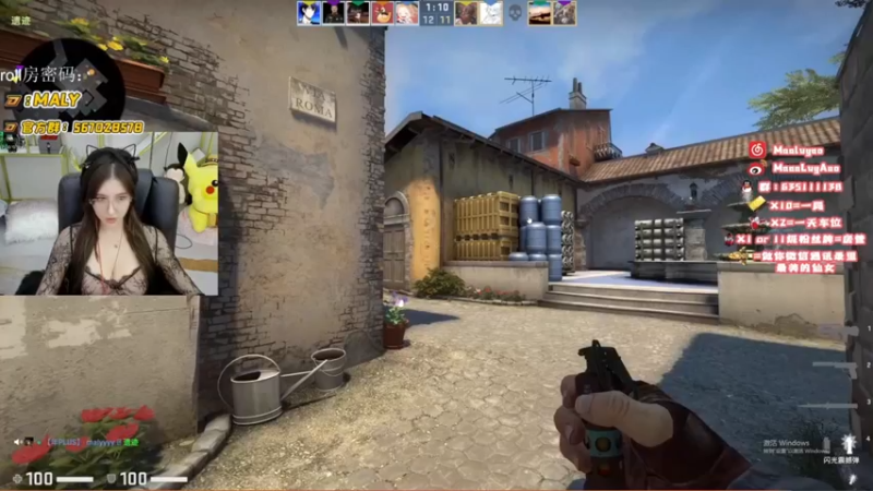 CSgO (44)
