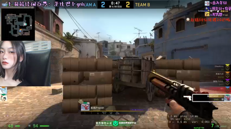 CSgO (53)