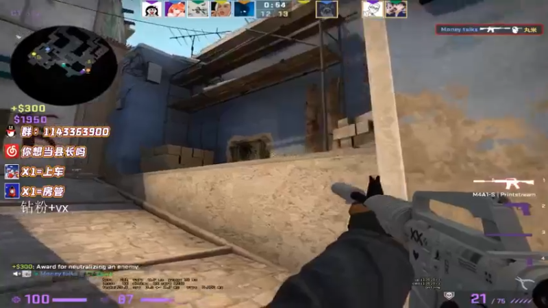 CSgO (365)