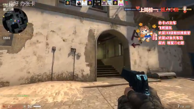 CSgO (255)