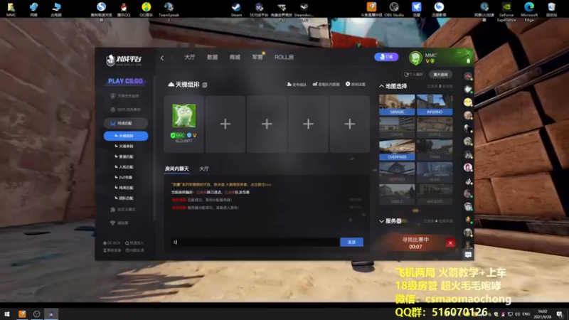 CSgO (228)