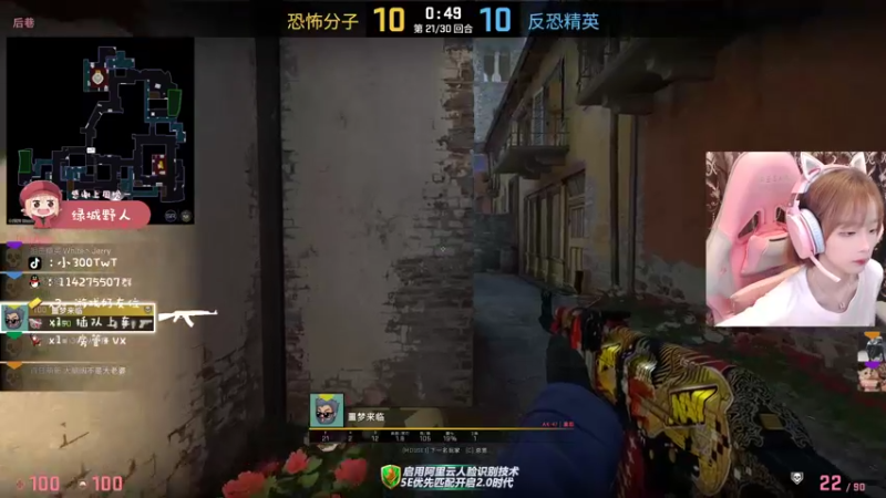 CSgO (115)