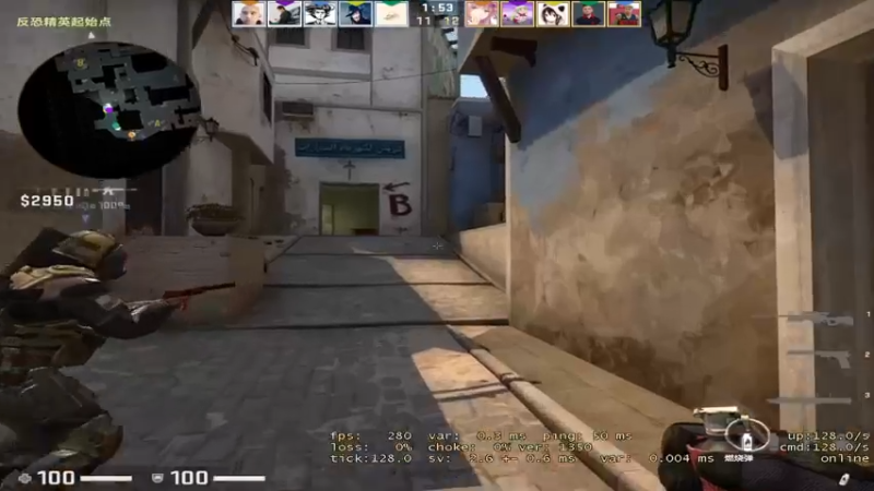 CSgO (275)