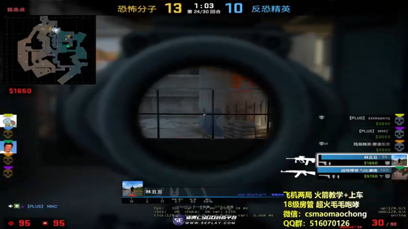 CSgO (263)