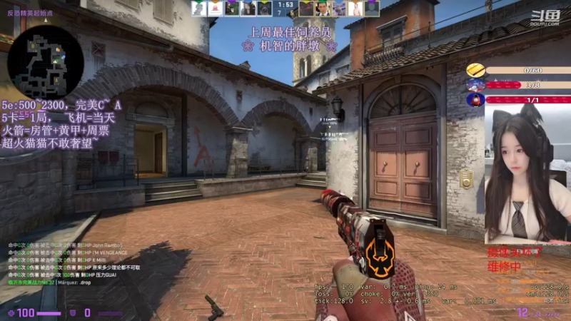CSgO (293)